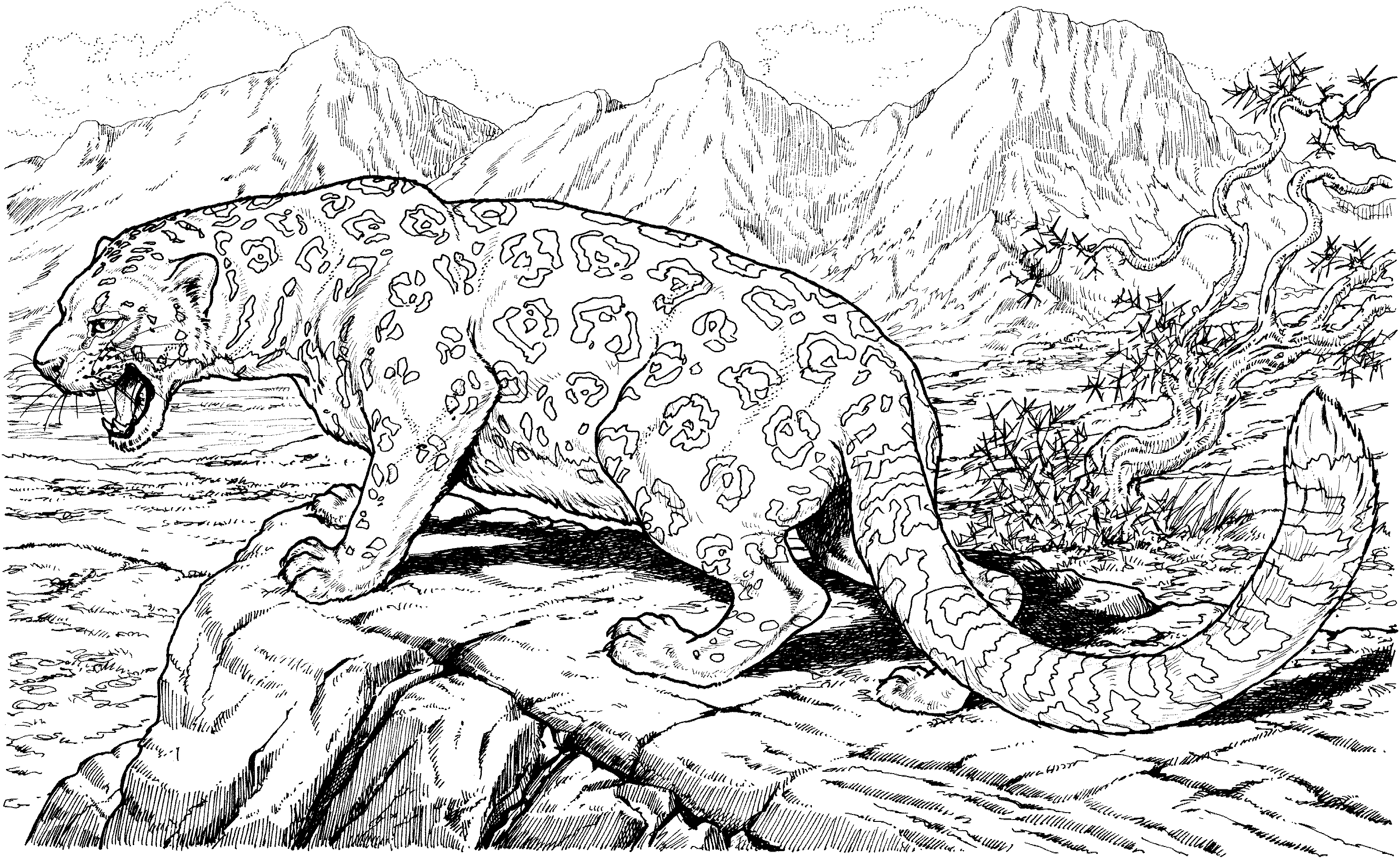 Big Cat Coloring Pages