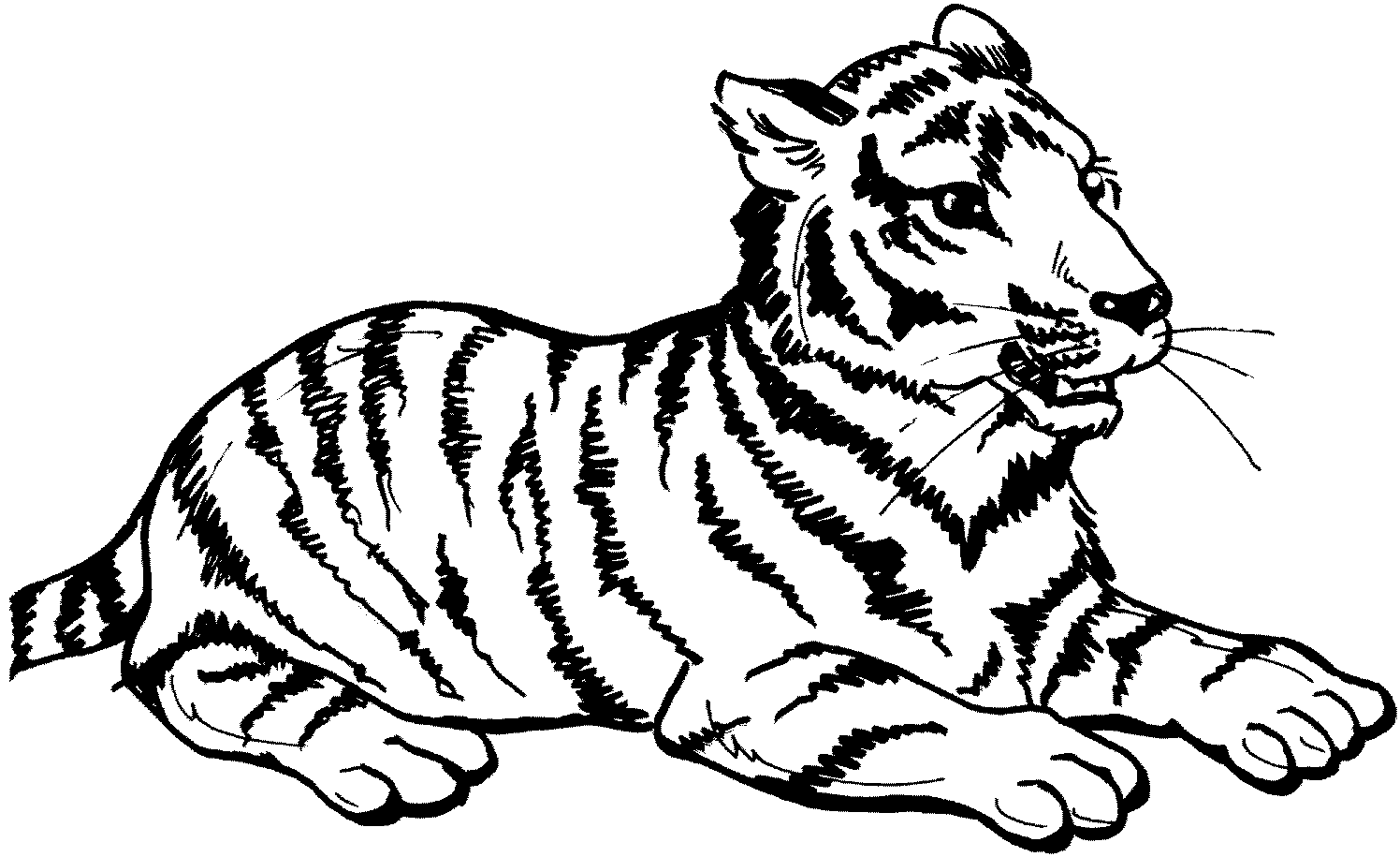  Big Cat Coloring Pages for Adult